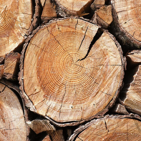 Timber Supplies