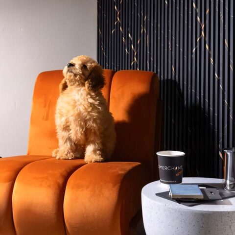 Engineering Materials